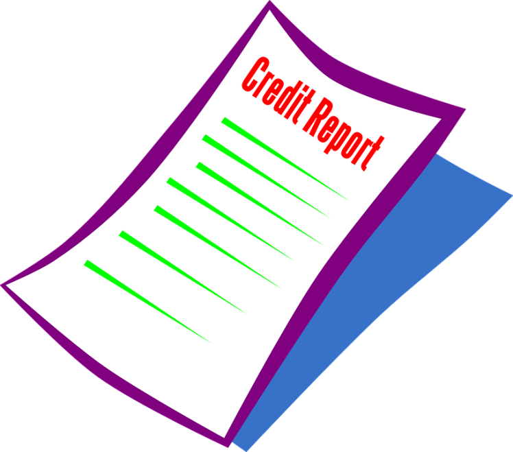 A credit report is issued by a consumer credit bureau